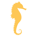 seahorse icon