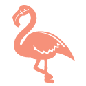 pink flamingo